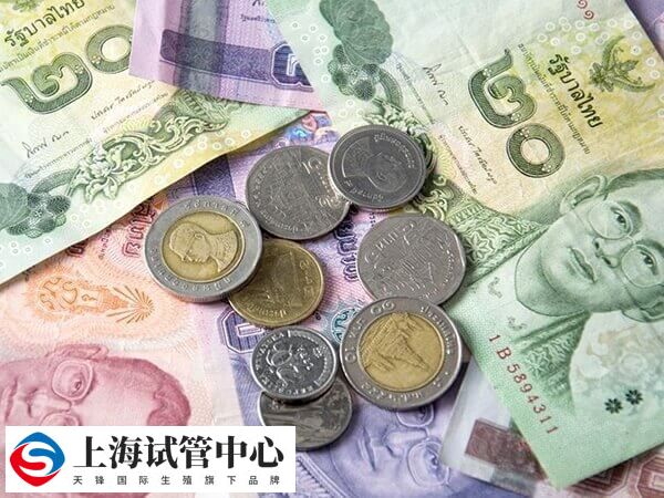 三代试管婴儿费用要十万