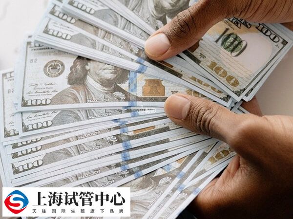 做试管龙凤胎大约多少钱一次