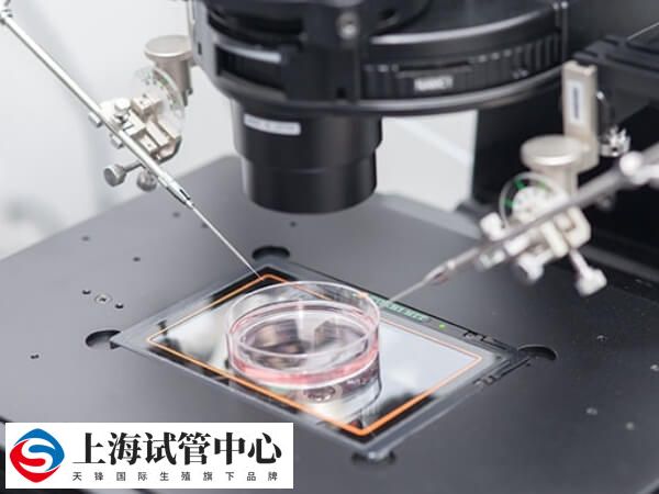 做试管生一个男孩要多少钱