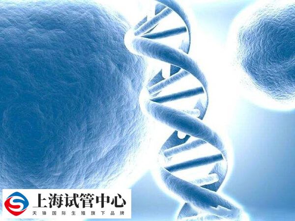 三代试管婴儿技术上是可以选择染色体