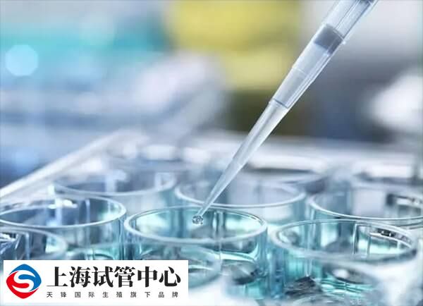 三代试管报销后花了3万有没有可能