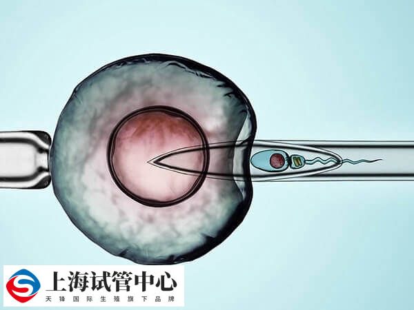 三代试管10万报销多少