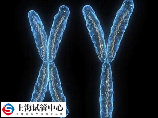 三代试管容不容易挑到y精子