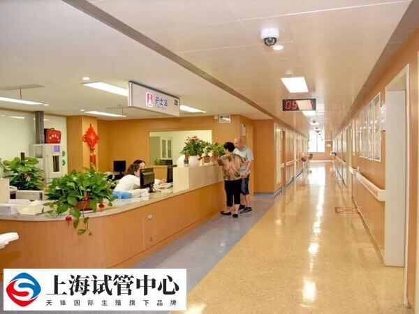 哪个国家可以冻卵