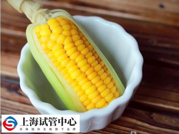 鲜胚移植后吃玉米对于胎儿发育有没有好处